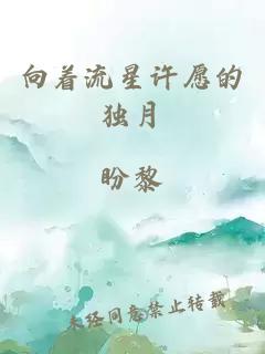 向著流星許愿的獨(dú)月